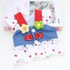 Denim Teddy Bichon Puppy Clothes for Small Dogs - Cute Leashed Harness, Autumn/Spring Style