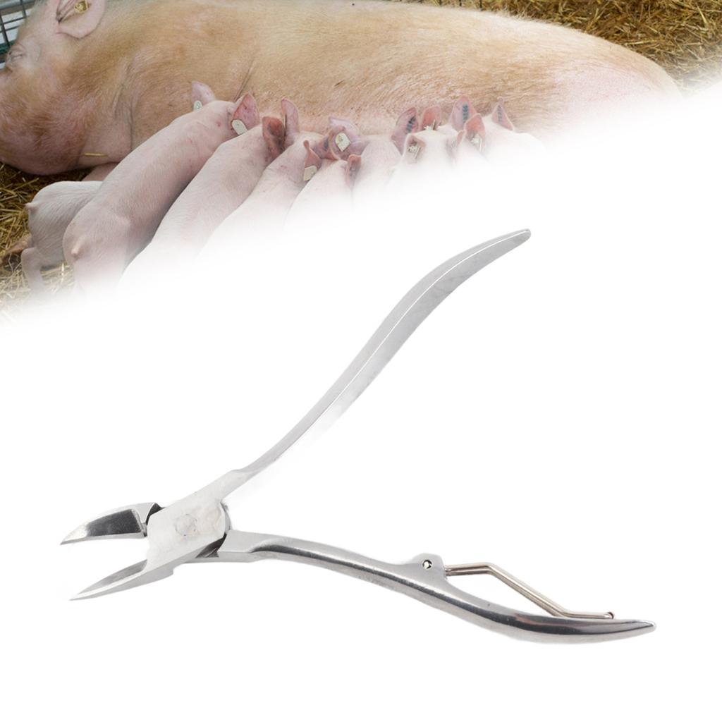 Stainless Steel Teeth Cutter Scissor for Dog Piglet Elbow Clipper Forceps with Catcher