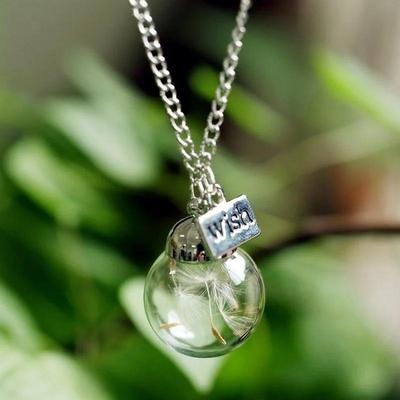 Natürliche Pusteblume Glasflasche Heimdekoration Langer Lederstreifen Lange Kette Anhänger