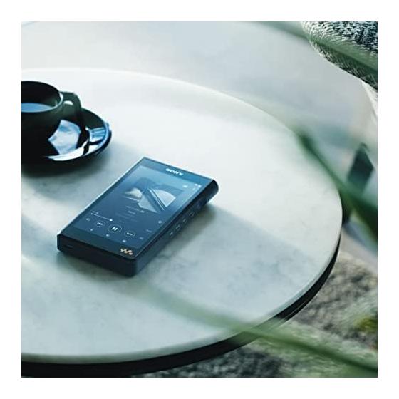 Sony Walkman 128GB WM1 Series NW-WM1AM2: Equipped with Android / Compatible with USB-TtpeC Cable / DSDDSD 11.2MHz Native Playback PCM 384kHz/32bit