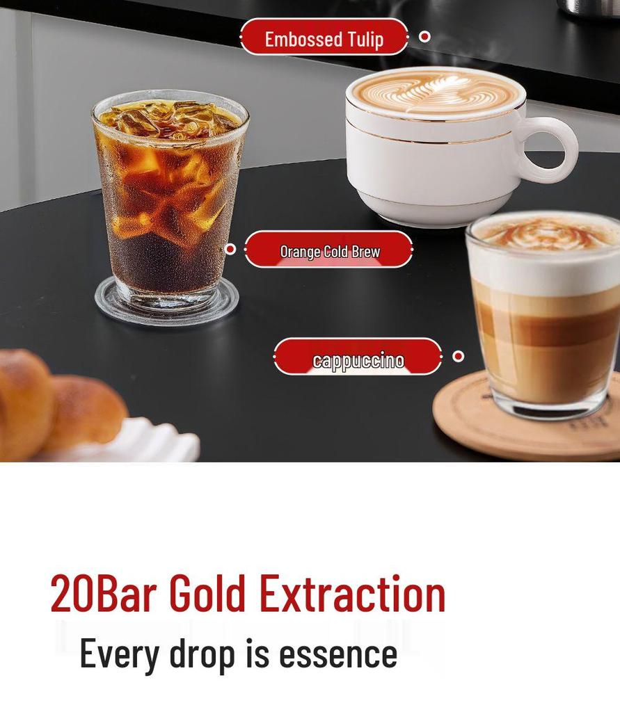 Taliansky espresso kávovar 20 bar: Poloautomatický, Dvojitá extrakcia, Horúci a studený, so zabudovaným mlynčekom pre domáce použitie