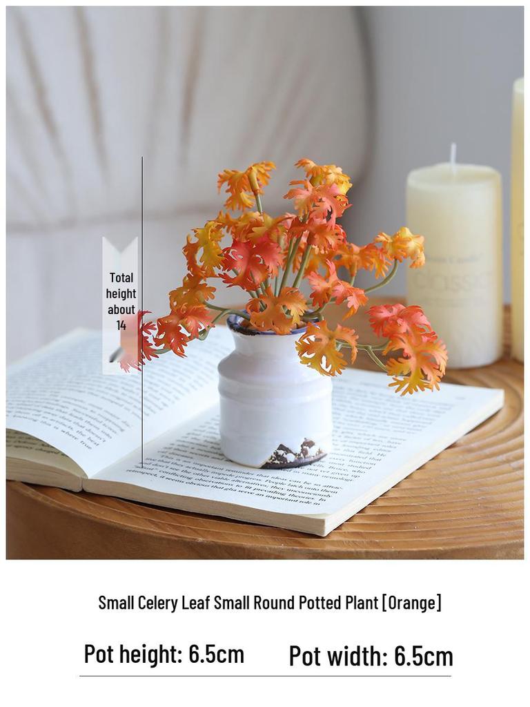 Miniature Succulent Bonsai Desk Ornament: Green Plant Props for Home or Office Decor