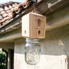 Capcană pentru Albinele de Lemn pentru Exterior Capcană pentru Insecte din Lemn cu Borcan Detașabil Kit Capcană Suspendată pentru Albine pentru Controlul Roiurilor