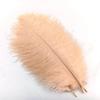 10Pcs Ostrich Feathers Decorative Vase Pluma Wedding Table Centerpieces Carnival Accessories DIY Creative Leisure Craft Supplies