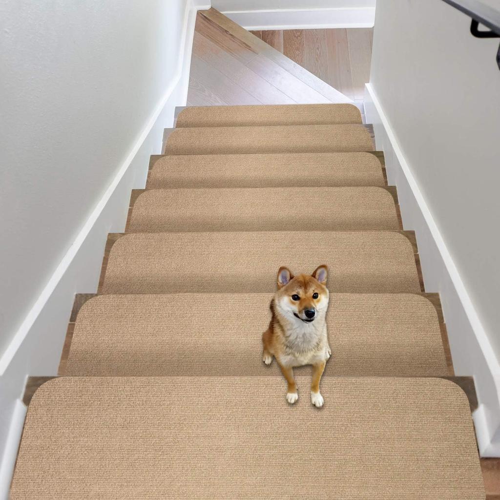 Stair for Stairs 70 X 20 Cm of Made In Stair Suction Stair Reduces Strain On Legs and Does Not Protects the Step Stair Prevents Prevents for the