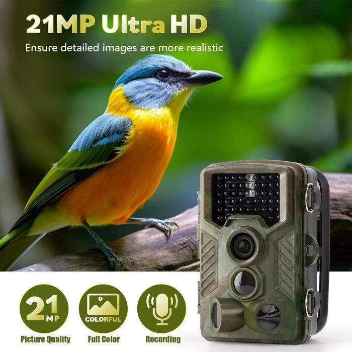 Caméra De Chasse - COOLIFE - H881 - 16MP - 1080P - Vision Nocturne 25m