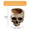Creative Resin Skull Flowerpot Halloween Prop - Mindless Skull, Hollow Skull, Creative Prank Figurine