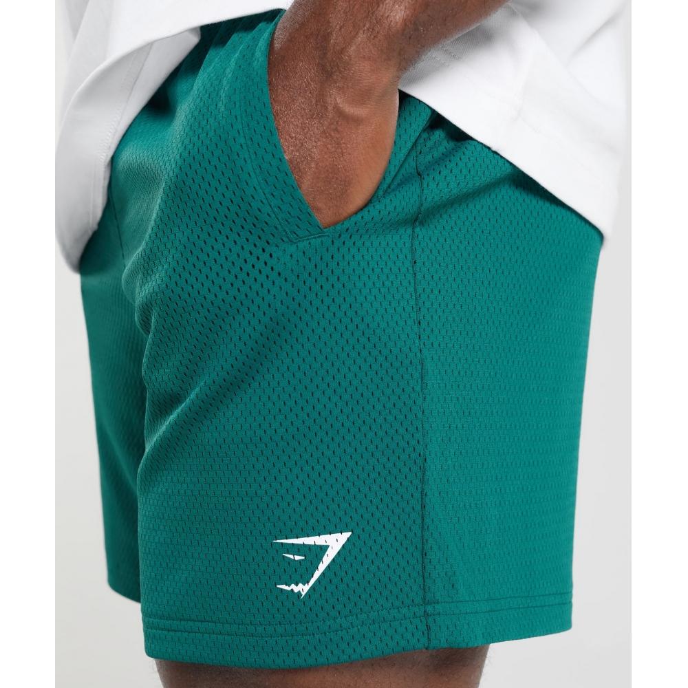 Gymshark Lifting Mesh 7  Shorts Motivate Teal A6a3o Tbqr
