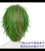 CaseEden Cosplay Wig, Premium Short, 30cm, Heat Resistant, Dark Green, WIG6189