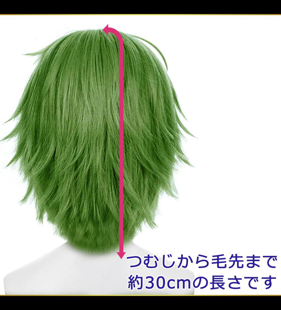 CaseEden Cosplay Wig, Premium Short, 30cm, Heat Resistant, Dark Green, WIG6189