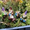Resin Garden Gnome and Dwarf Figurines for Lawn and Courtyard Decor.