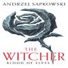 Blood of Elves by Andrzej Sapkowski Paperback Book 9781399611404
