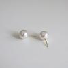 modernlike 14k gold swallow pearl earrings