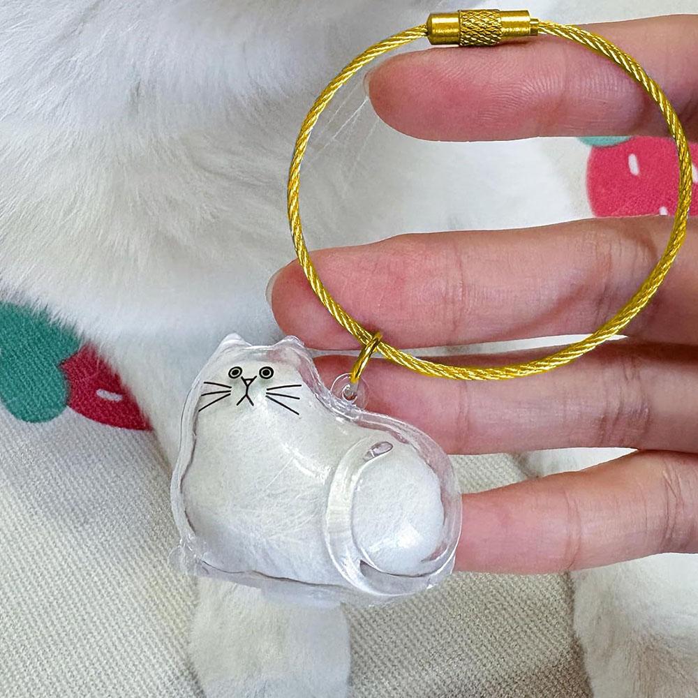 6pcs Transparent Acrylic Cat Hair Storage Keyring