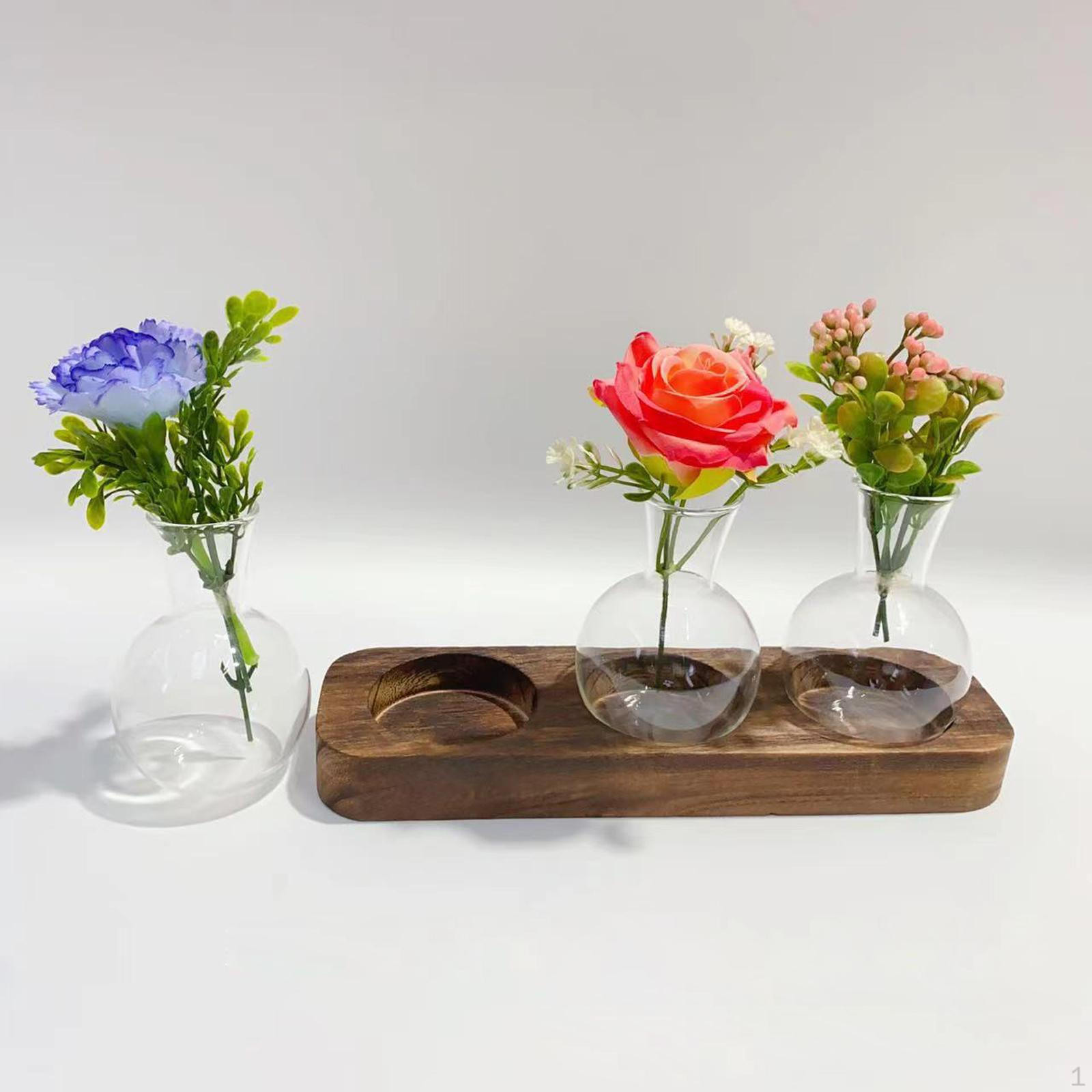 

Hydroponic Vase Glass Vase,Mountable Plant Propagation Modern,3 Piece Terrarium Jar with Wood Stand
