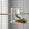 Transparent Automatic Bird Feeder Leak-proof Hanging Bird Feeding Container Plastic Large Capacity Parrot Food Box Cockatiel