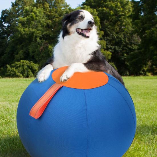Hüteball für Hunde Beruhigender Ball mit Griff aufblasbarer Trainingsball für große Rassen kleine mittlere Hunde Aktives Spiel Bewegung