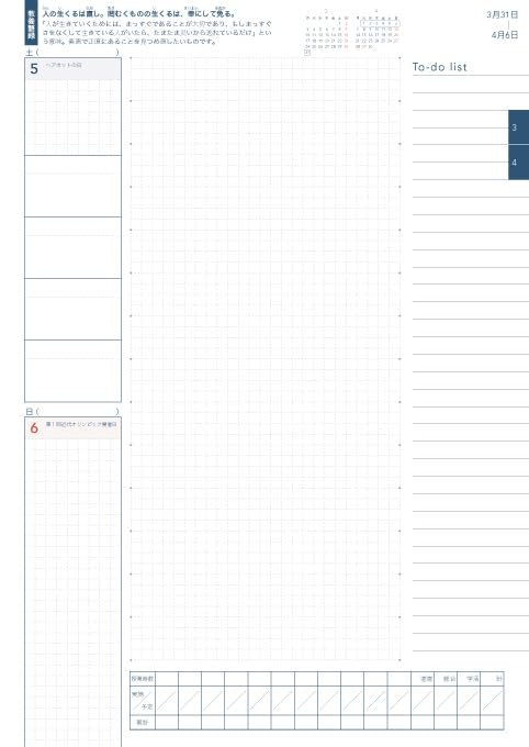 Teacher's Diary 2025 with Memo Notebook (Variety)