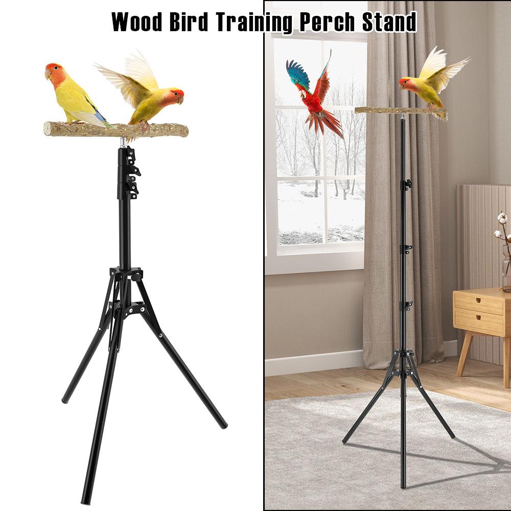 Holz Vogel Trainingssitz Ständer Höhe Verstellbar Vogel Sitzstange Spielzeug Innen Außen Vielseitig Vogel Papagei Spiel Trainingsstation Stange