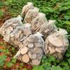DIY Natural Art Area: Mixed Wood Chips and Dry Twigs for Kindergarten Projects