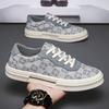 Spring Shoes for Men Canvas Casual Shoes Trend Print Flat Skateboard Shoes Youth Street Cool Sneaker