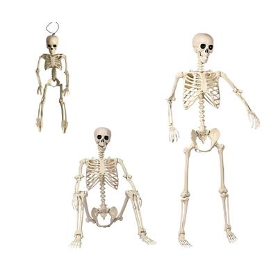 Realistic Full Body Human Bone Halloweens Props Flexible Joints Portable Plastic Indoor Outdoors Decoration