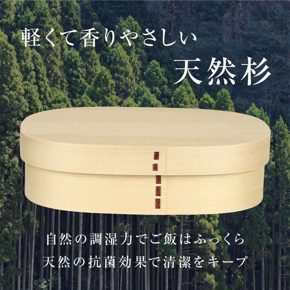 Gokusho Magewappa Bento XL Size Made In Natural Single Tier Box, (1200ml), Japan, Cedar, Round,