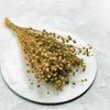 Dried Lentil - Natural
