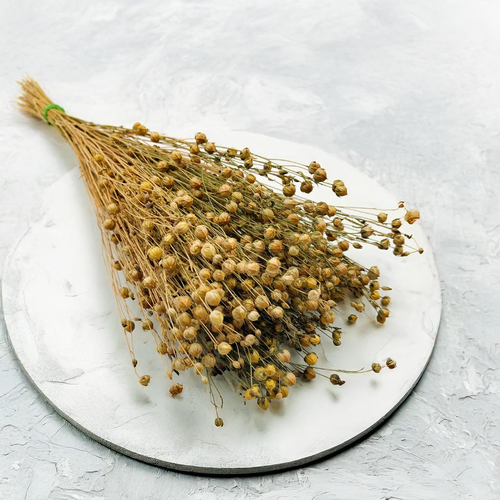 Dried Lentil - Natural
