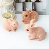 New Easter Rabbit Silicone Candle Mold DIY Bunny Gypsum Soap Mold Animal Resin Making Crafts Casting Molds Party Gift