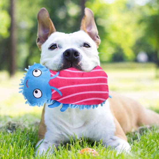 

Mop Insect Squeaky Plush Dog Toy Ladybug Caterpillar Shape Stuffed Crinkle Puppy Chew Toy for Small Dogs червоний