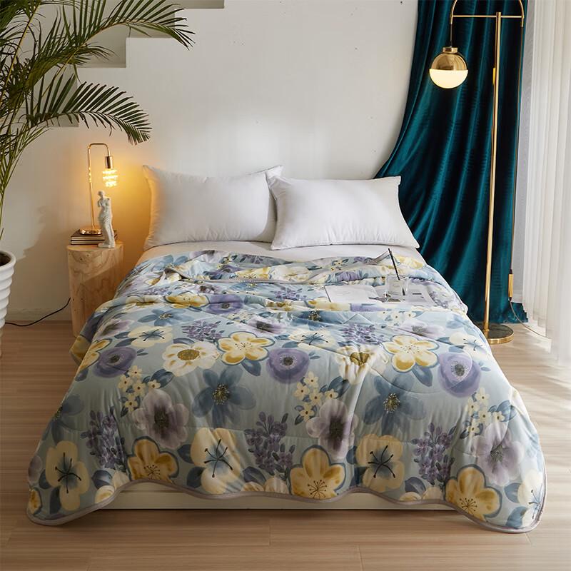 

Tianqin Luolan Ruomeng TQ-B098 Seven-Hole Fiber Summer Quilt