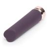 Crazy For You USB Rechargeable Bullet Vibrator
