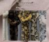Narrow Korean-Style Women's Winter Leopard Snood: Fluffy Rex Rabbit Fur Imitation Scarf