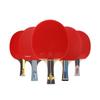 Peak M6 Star Table Tennis Racket