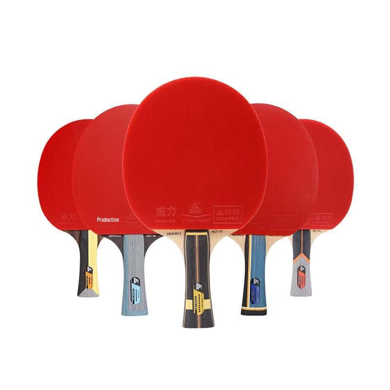 Peak M6 Star Table Tennis Racket