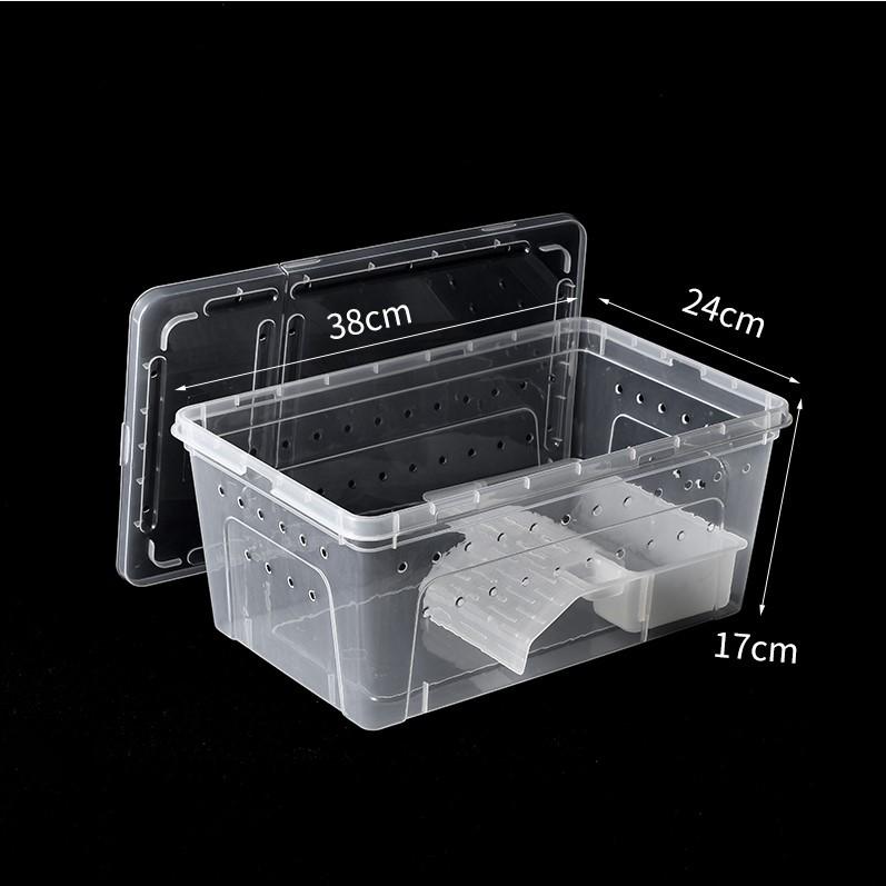 Extra Large Reptile Breeding Box for Silkworms, Spiders, Frogs, Geckos, Lizards, Snakes, Insects, and Turtles.