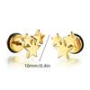 1Pair Star Lightning Titanium Steel Unisex Women Men Black Clear Crystal Zircon Ear Studs Earrings Shiny Piercing Jewelry Gift