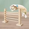 Interactive Bunny Toy Jump Hurdle Bar for Pet Running