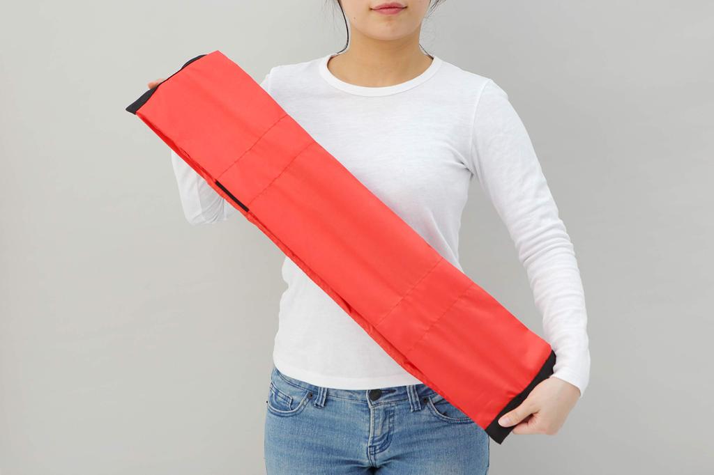 Marna Shupatto Leaf Boston Folds Up In One S439LE Bag, Go, 22L,