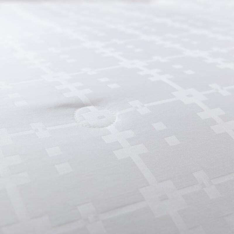 Fang'en Yuexi All-Season Corn Fiber Quilt