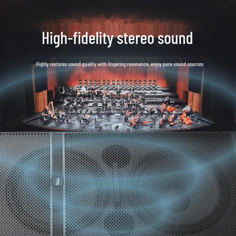 Runpu Professional Dual 15-inch Passive Conference Speaker (CN version)