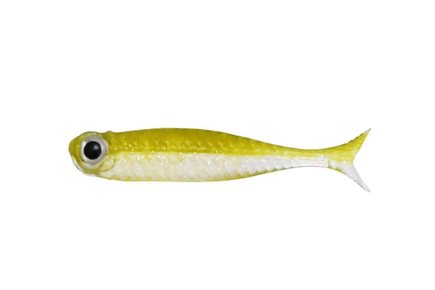 Dstyle Virola Micro 1.5 Ayu 1.5 inch