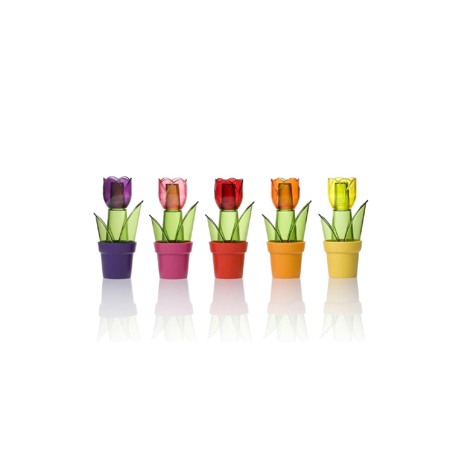 

Солонка Tulip Look (острый) - 904529