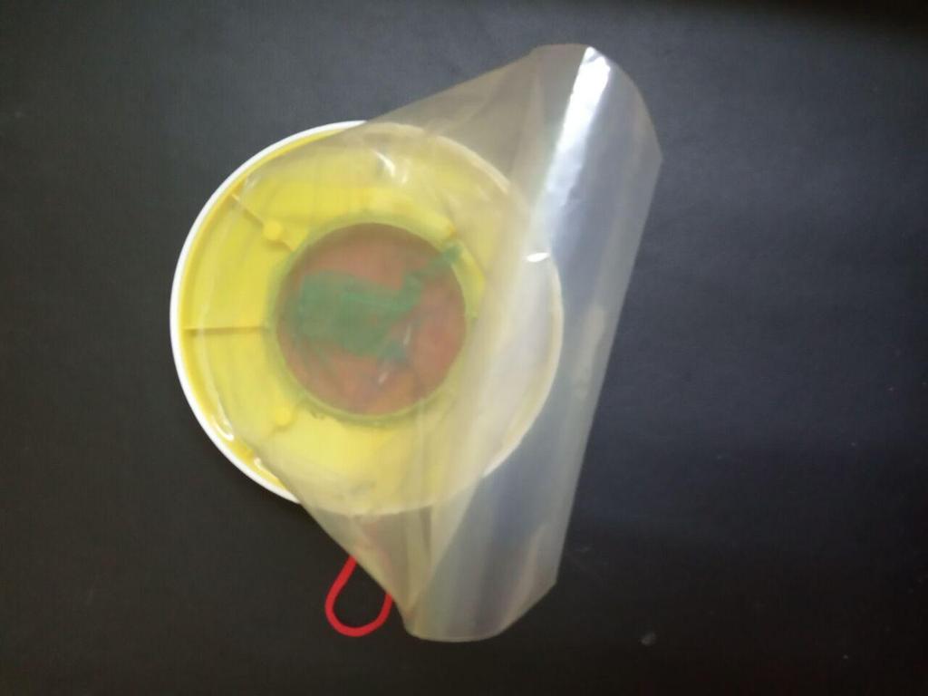 Şeffaf Sinek Yakalama Torbası - Sinek Yakalayıcı ve Öldürücü