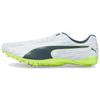 Evospeed Electric 12 Racing Sports Cushioning Non-Slip Wear-Resistant Fit Low-Top Marathon Running Shoes Unisex Running Shoes 376321-01