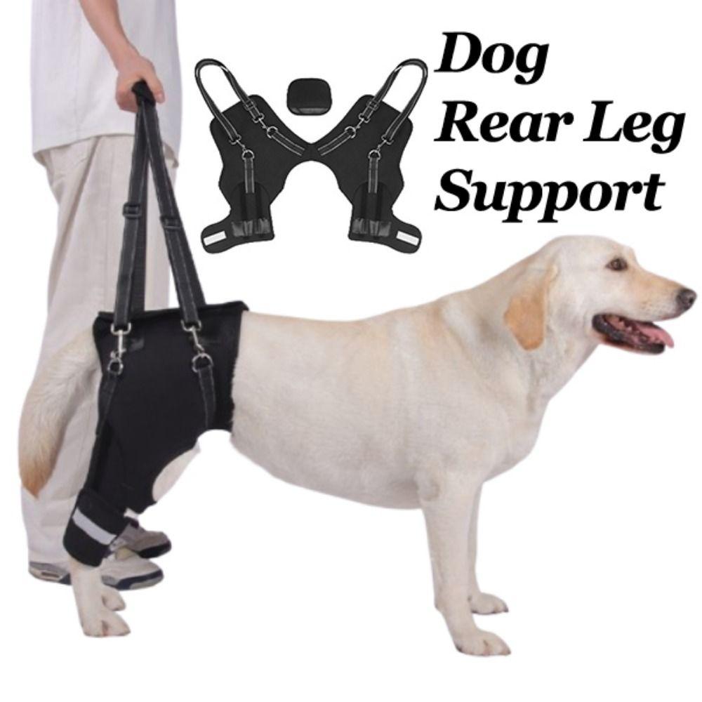 Legs Hip Support Dog Lift Harness Black Adjustable Dog Rear Leg Support Sturdy Handle Breathable Pet Aid Assist Tool