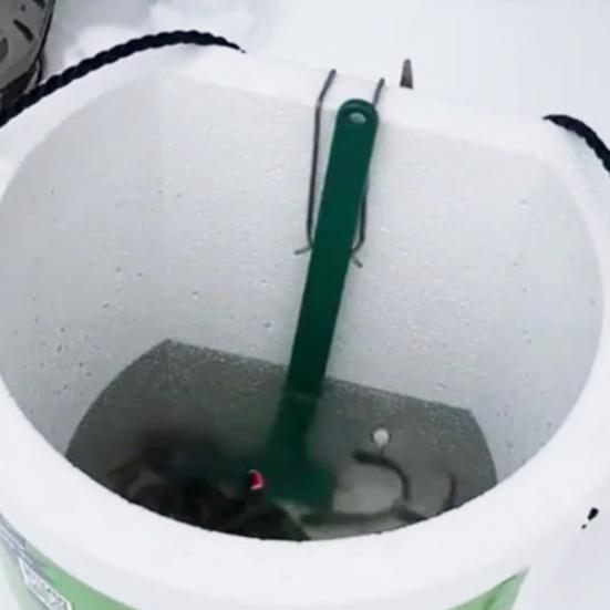 1/2 Bucăți Catcher Inteligent pentru Momeală Vie Pescuit pe Gheață de Iarnă Suport pentru Momeală Vie Hands-Free Instrument de Captură Pescari Pescuit