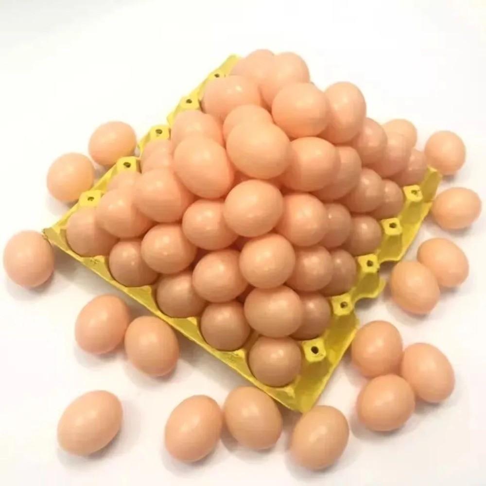 10pcs Eggshell Plastic Fake Eggs Simulation Artificial Incubation Eggs  Home Decoration