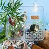 Transparent Tortoise Climbing Basking Platform  Aquatic Turtles Terrace